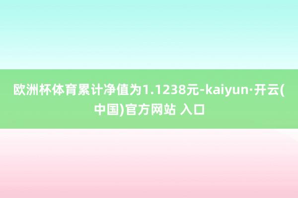 欧洲杯体育累计净值为1.1238元-kaiyun·开云(中国)官方网站 入口