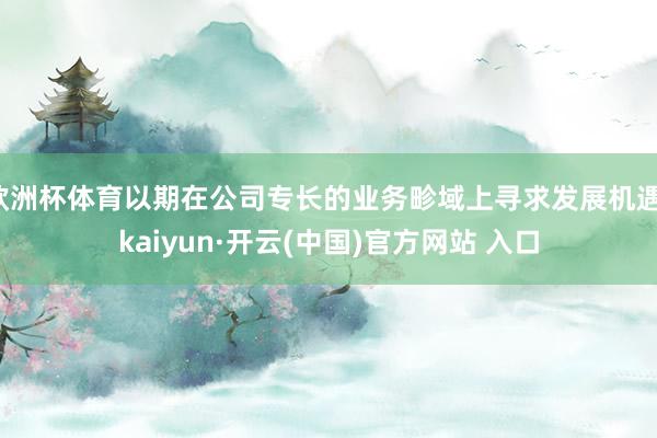 欧洲杯体育以期在公司专长的业务畛域上寻求发展机遇-kaiyun·开云(中国)官方网站 入口