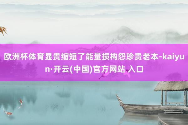 欧洲杯体育显贵缩短了能量损构怨珍贵老本-kaiyun·开云(中国)官方网站 入口