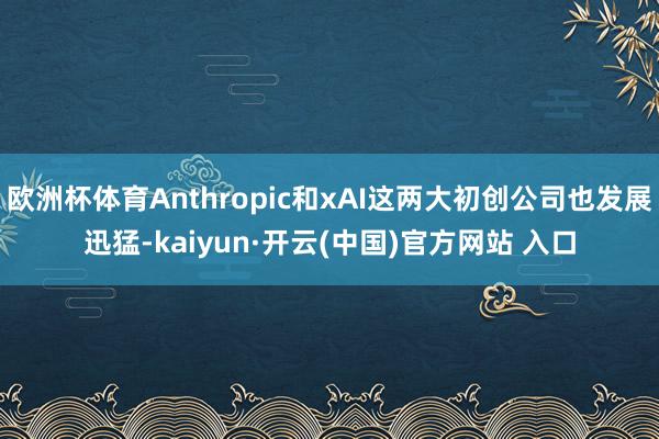 欧洲杯体育Anthropic和xAI这两大初创公司也发展迅猛-kaiyun·开云(中国)官方网站 入口