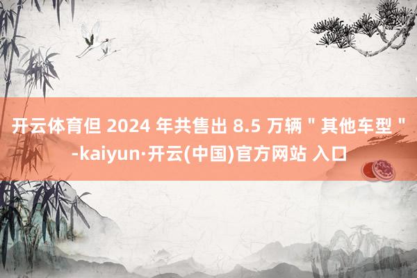 开云体育但 2024 年共售出 8.5 万辆＂其他车型＂-kaiyun·开云(中国)官方网站 入口