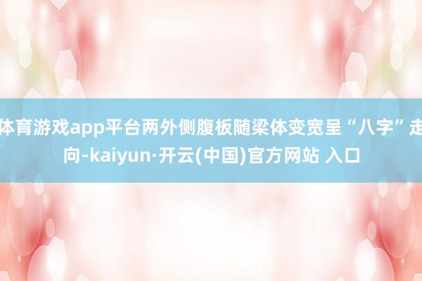 体育游戏app平台两外侧腹板随梁体变宽呈“八字”走向-kaiyun·开云(中国)官方网站 入口