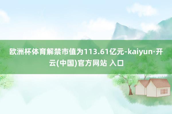 欧洲杯体育解禁市值为113.61亿元-kaiyun·开云(中国)官方网站 入口