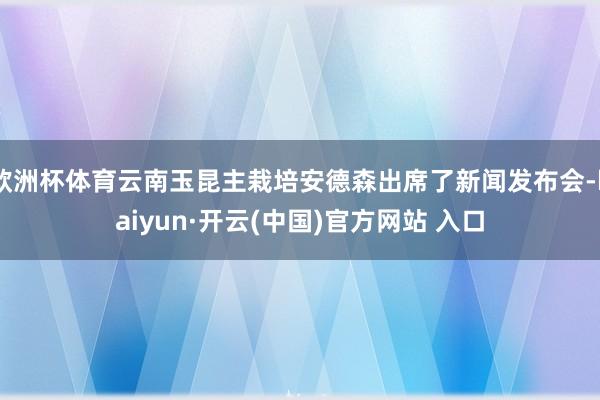 欧洲杯体育云南玉昆主栽培安德森出席了新闻发布会-kaiyun·开云(中国)官方网站 入口