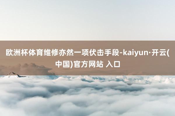 欧洲杯体育维修亦然一项伏击手段-kaiyun·开云(中国)官方网站 入口