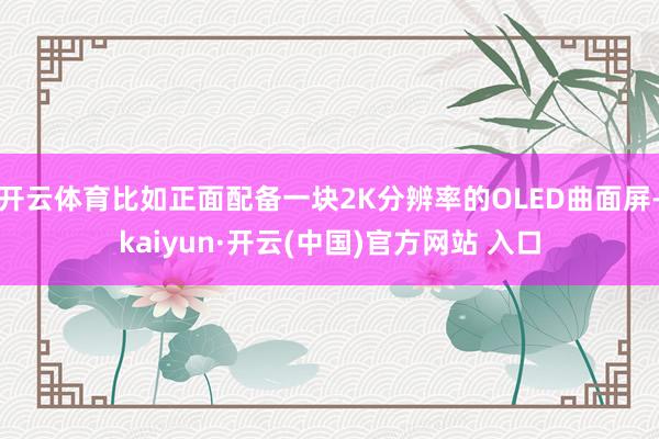 开云体育比如正面配备一块2K分辨率的OLED曲面屏-kaiyun·开云(中国)官方网站 入口