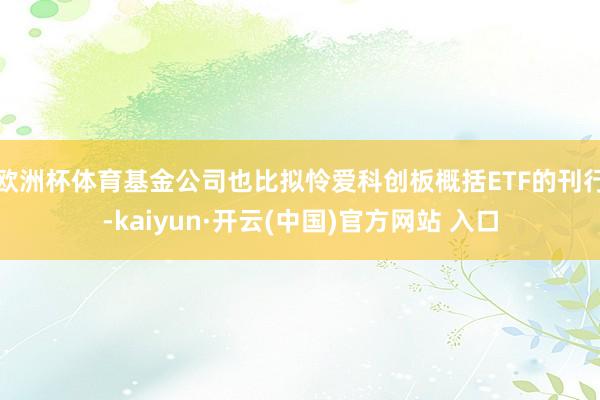 欧洲杯体育基金公司也比拟怜爱科创板概括ETF的刊行-kaiyun·开云(中国)官方网站 入口