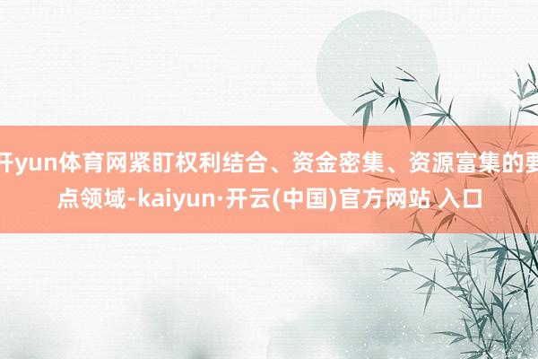 开yun体育网紧盯权利结合、资金密集、资源富集的要点领域-kaiyun·开云(中国)官方网站 入口