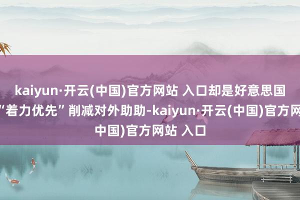 kaiyun·开云(中国)官方网站 入口却是好意思国政府因“着力优先”削减对外助助-kaiyun·开云(中国)官方网站 入口
