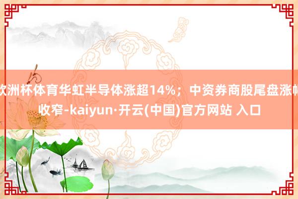 欧洲杯体育华虹半导体涨超14%；中资券商股尾盘涨幅收窄-kaiyun·开云(中国)官方网站 入口
